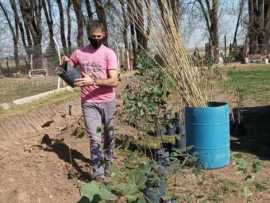 50 Álamos y 18 Brachichitos para el Refugio Municipal Colitas