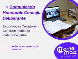 El Concejo sesiona virtualmente