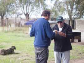 Vacunación de Perros en el Refugio Municipal