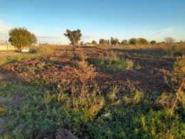 Loteo de barrio Norte para la construcción de viviendas