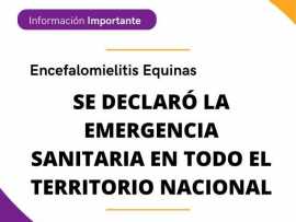 Emergencia Sanitaria por Encefalomielitis Equina