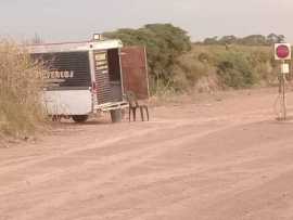 Control y desvío de camiones en acceso norte