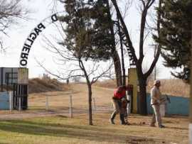 Se plantaron 350 algarrobos blancos