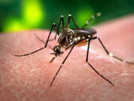 Recomendaciones para prevenir el dengue