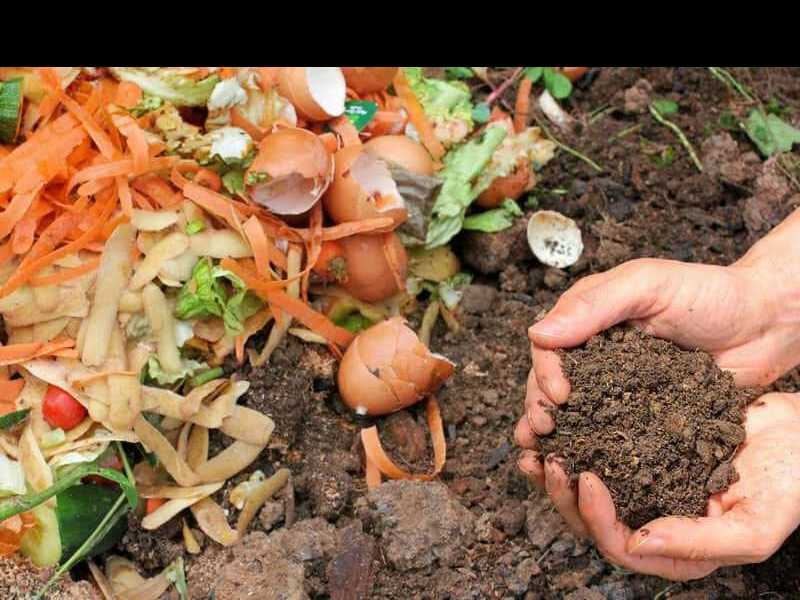 Red voluntaria de compostaje