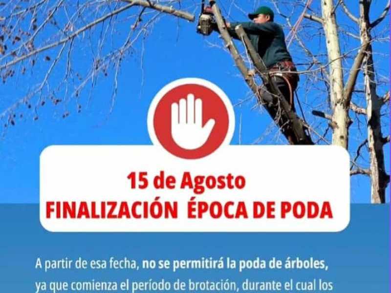 Finaliza el período de poda 