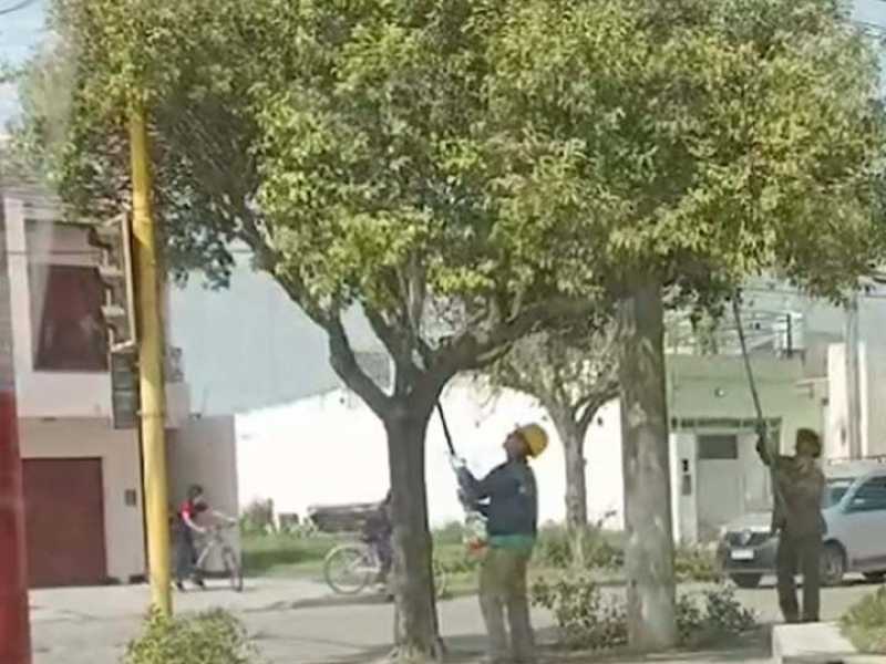 EPEC puede hacer podas controladas