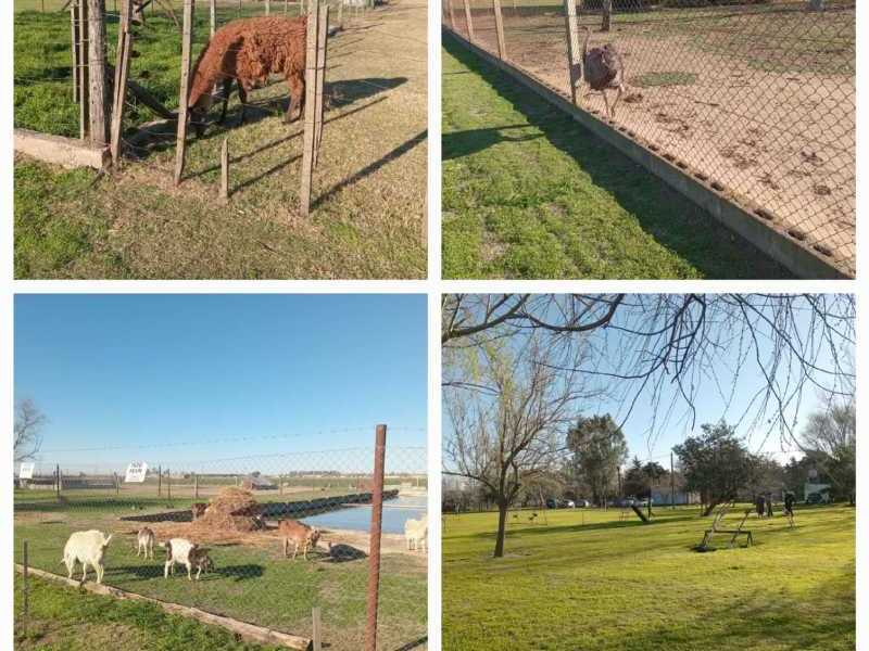 Un lugar para disfrutar en familia