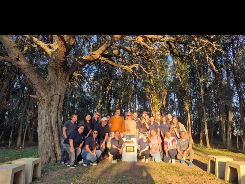 Actividades culturales de instituciones