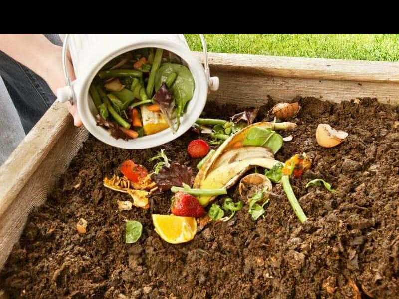 Compostaje doméstico para un ambiente más saludable