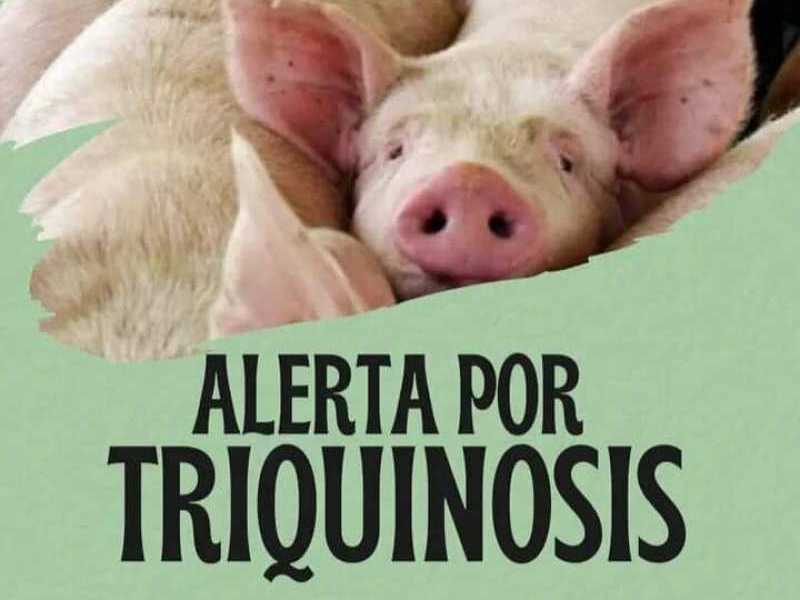 Alerta por casos de triquinosis