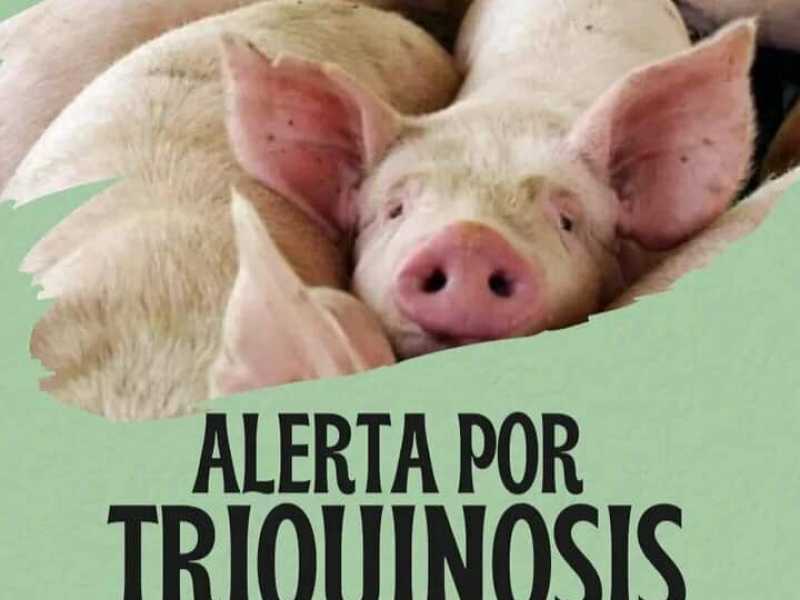 Hay casos de triquinosis en la región