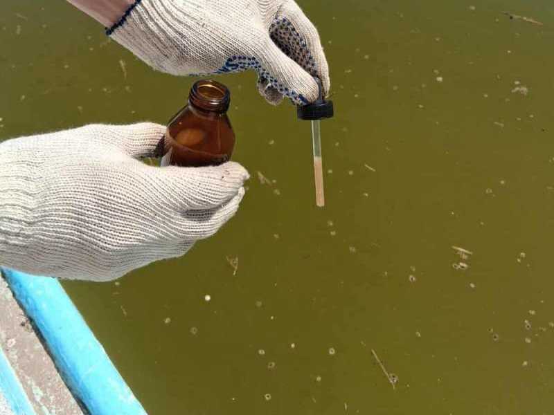 Acciones de prevención del dengue