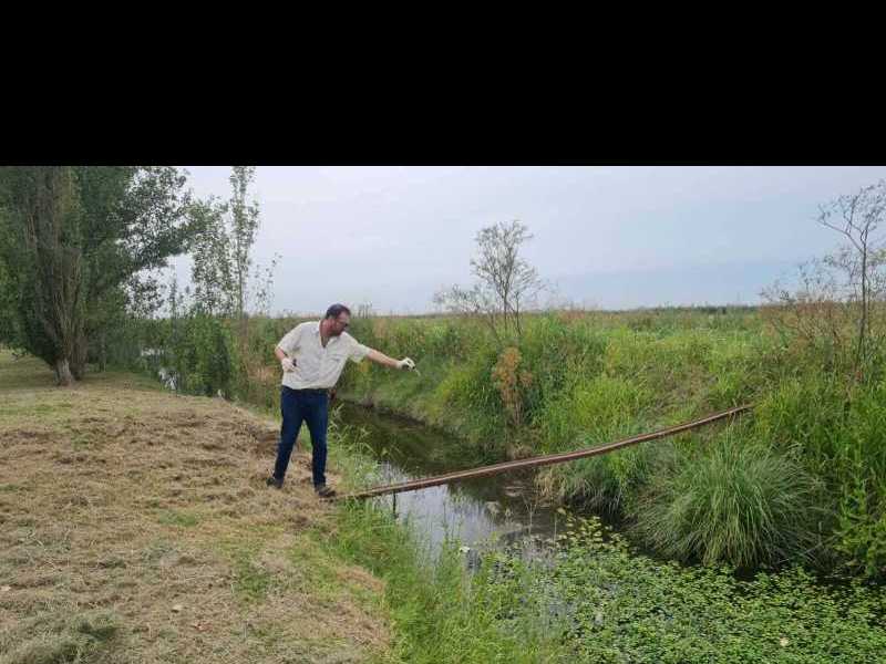 Se intensifica la lucha contra los mosquitos