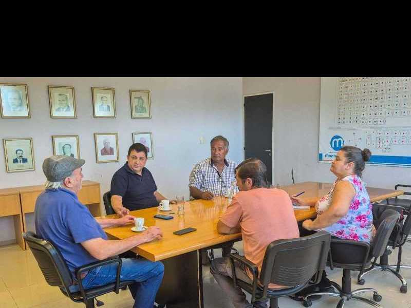 Proyecto de un camino de tránsito pesado