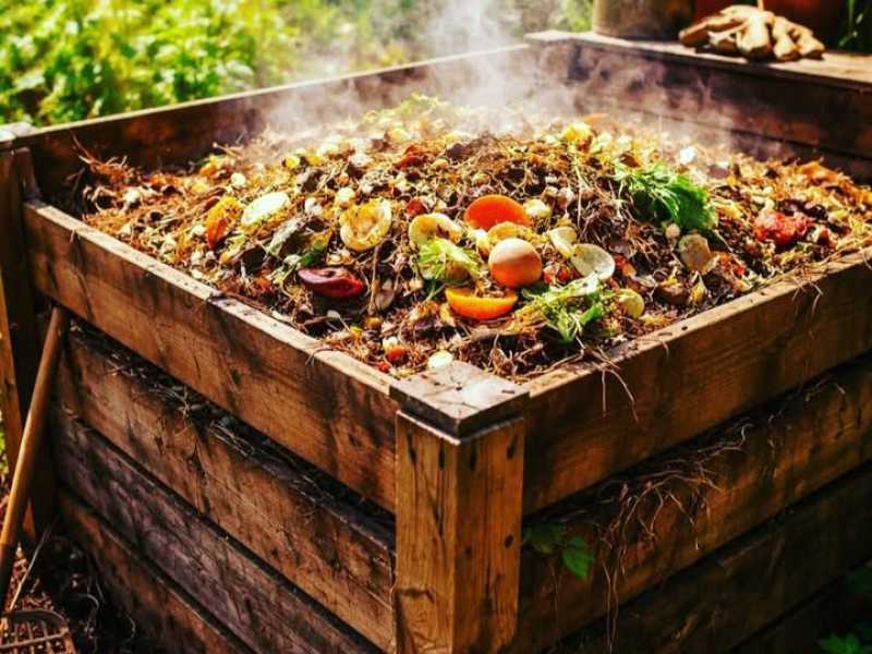 Cuidado del compost con altas temperaturas
