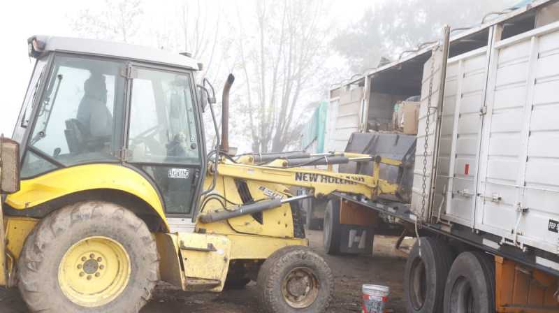 Recolección y entrega de cartón