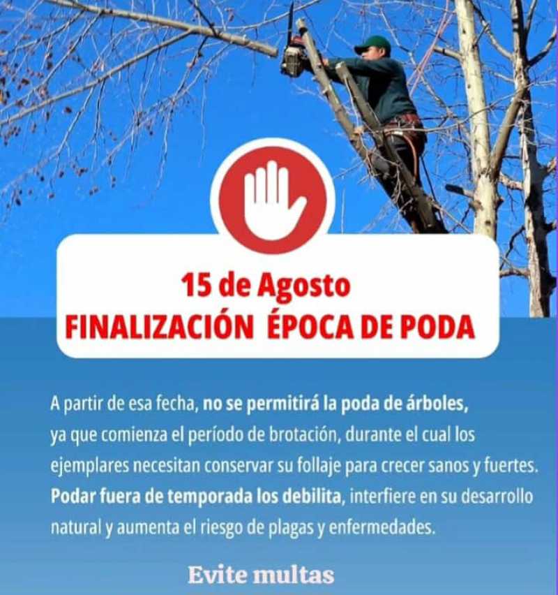 Finaliza el período de poda 