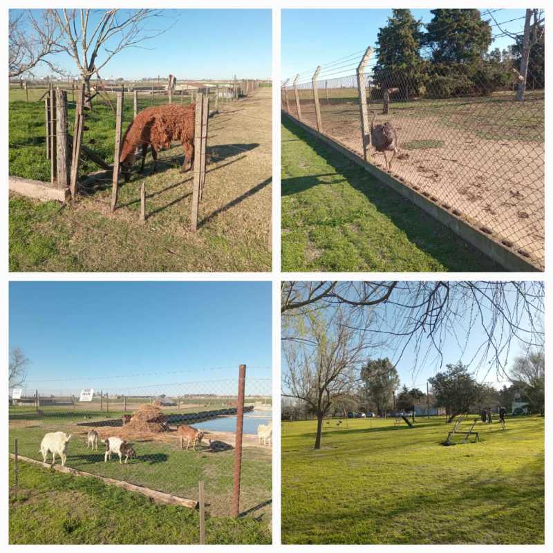 Un lugar para disfrutar en familia