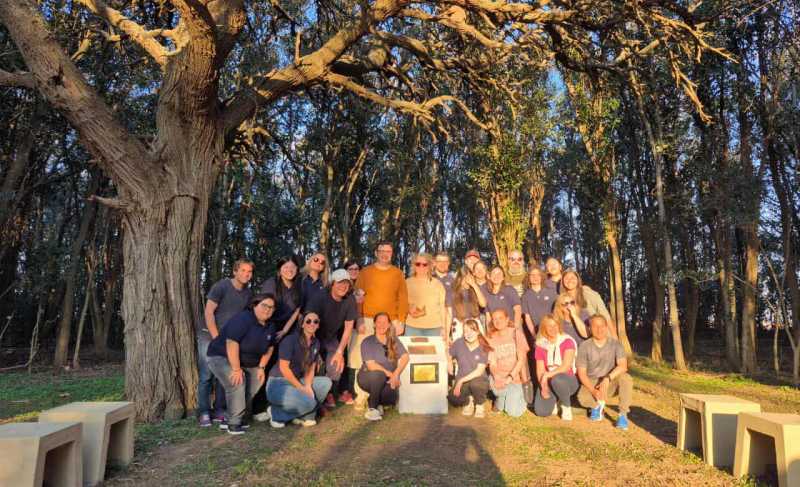 Actividades culturales de instituciones