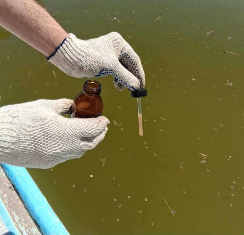 Acciones de prevención del dengue