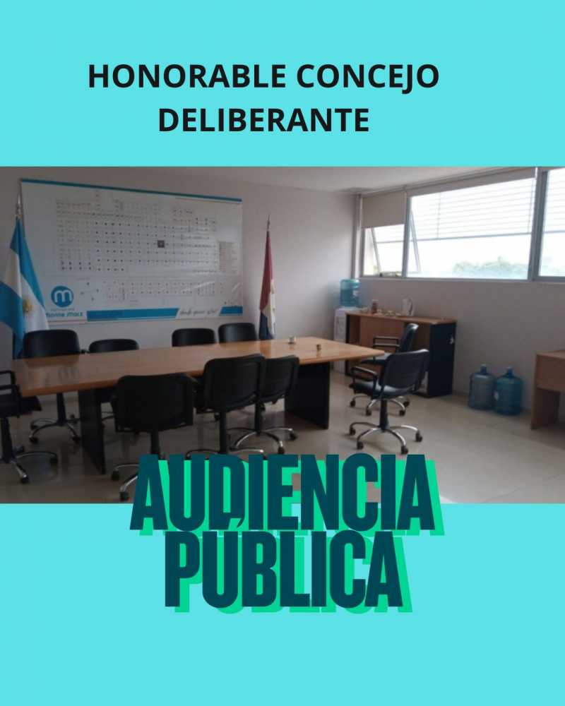 Llamado a audiencia pública