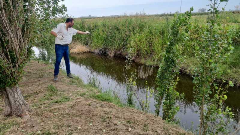 Aplicación de larvicidas en puntos críticos del pueblo