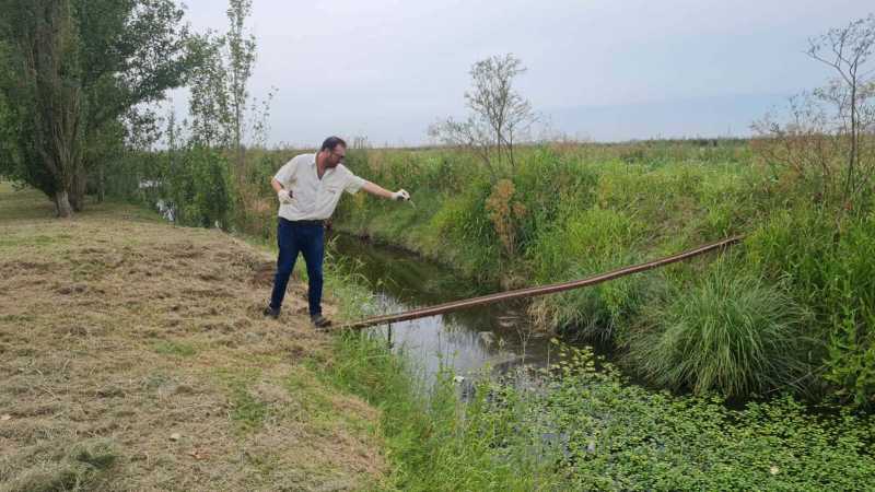 Se intensifica la lucha contra los mosquitos