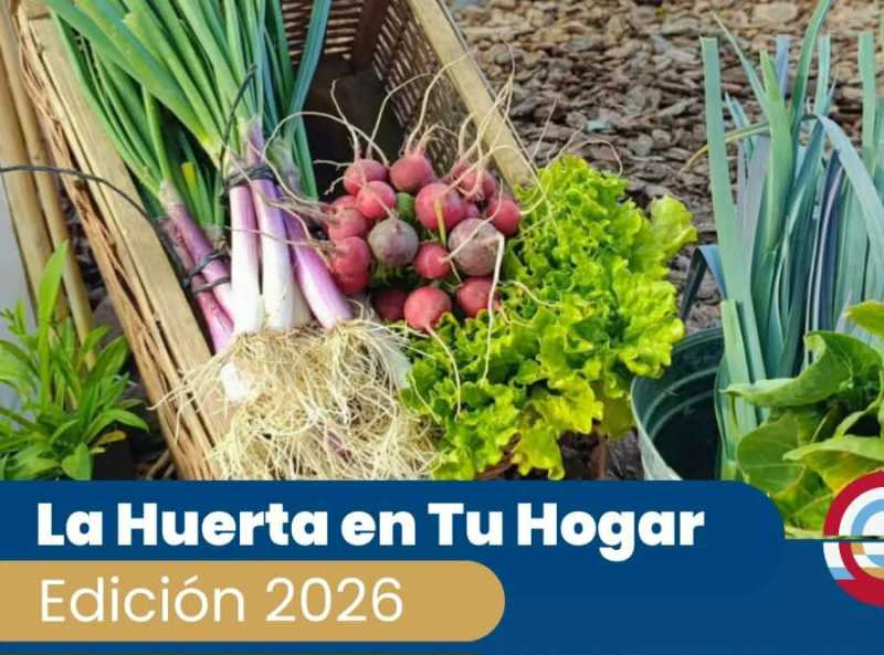La huerta en tu hogar: Inscripciones abiertas
