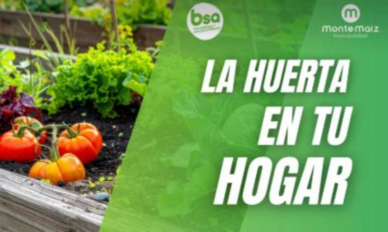 Inscripciones abiertas para el Programa La Huerta en tu Hogar
