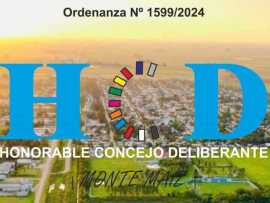 Ordenanza 1599/2024 - 50º aniversario de la Fundación de Bomberos Voluntarios